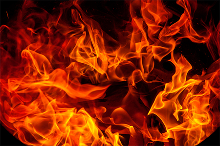 animal incinerators