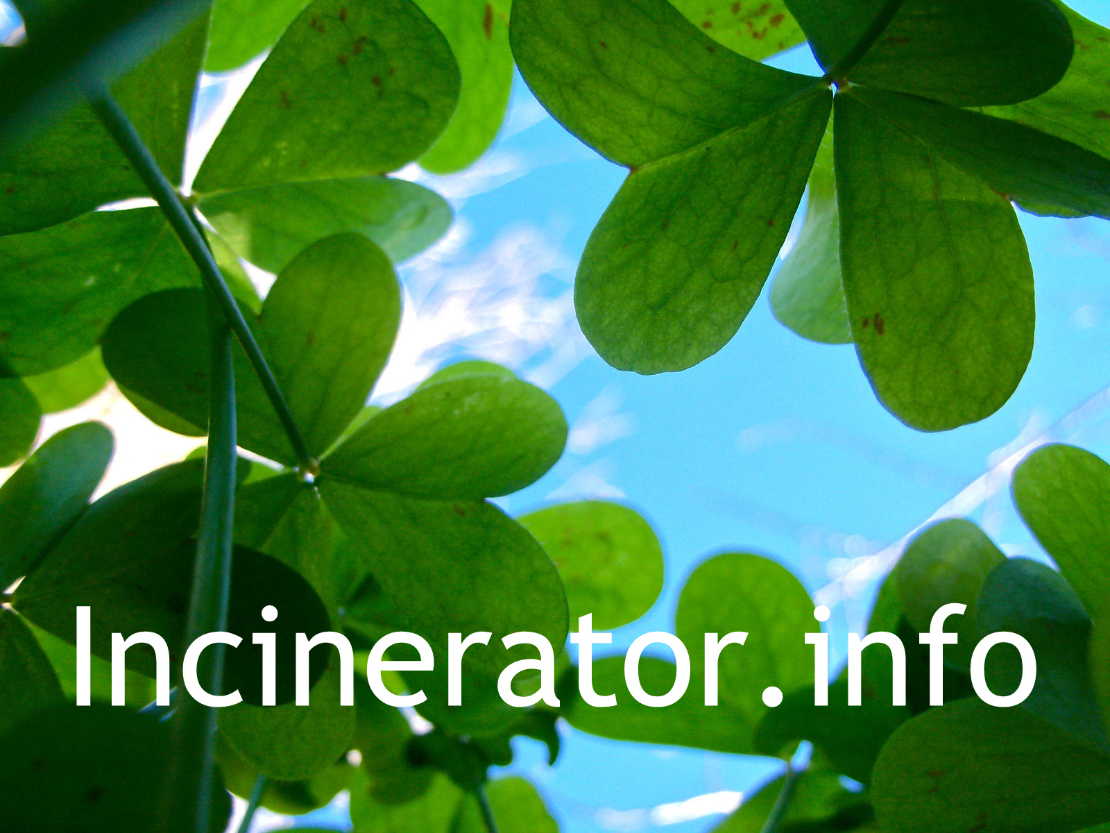 china incinerators