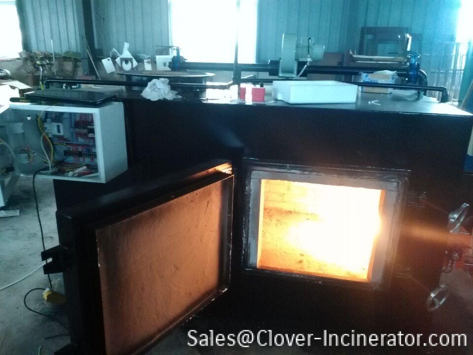 incinerator china