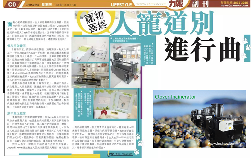 pet cremation equipment prices