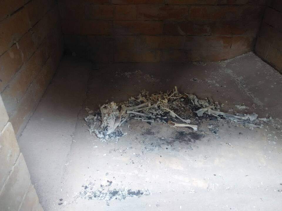 pet crematory